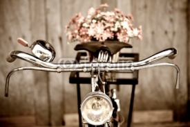 Naklejki Old bicycle and flower  vase