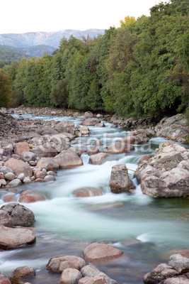 Nice river with clear water flowing
