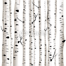Obrazy i plakaty Birches in vector