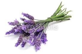 Fototapety lavender