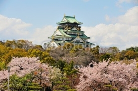 osaka castle with the cherry blossoms
