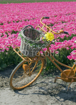 Naklejki bicycle in flower field