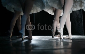 Fototapety The ballerina