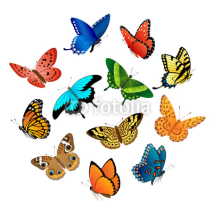 Naklejki Flying  butterflies