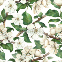 Fototapety Pattern with watercolor apple flowers