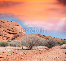 Desert and rocks of Australia