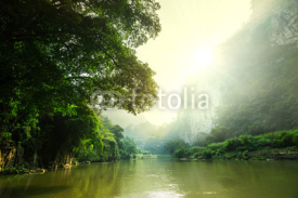 Fototapety Tropical river
