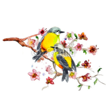 Obrazy i plakaty watercolor drawing of cute bird