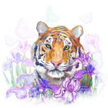 Naklejki Tiger and flowers iris