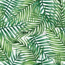 Fototapety Watercolor tropical palm leaves seamless pattern. Vector illustration.