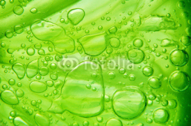 Obrazy i plakaty Lime with bubbles on white