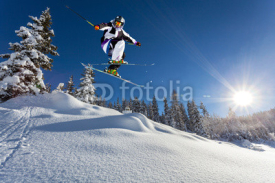 Fototapety salto in neve fresca