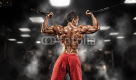 Fototapety Muscular bodybuilder guy doing exercises with dumbbells in gym