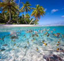 Fototapety Tropical island
