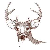 Naklejki Deer