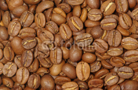 Fototapety coffee grains