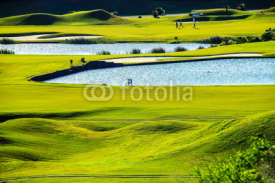 Naklejki Golf club with nice green