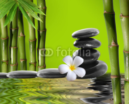 Fototapety spa stones,bamboo  with frangipani