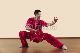 Fototapety Kung Fu,Baguazhang,Ban mabu tuizhang,asiatische Kampfkünste