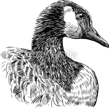 Naklejki head of goose