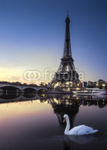 Obrazy i plakaty Tour Eiffel au Crépuscule avec Cygne Blanc