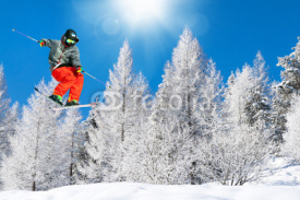 Fototapety fun ski