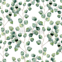 Naklejki Watercolor green floral seamless pattern with eucalyptus round leaves. Hand painted pattern with branches and leaves of silver dollar eucalyptus isolated on white background. For design or background