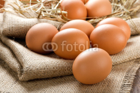 Fototapety Eggs