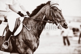 Fototapety Horse theme: jockeys, horse races, speed.