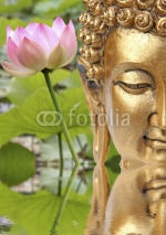 Bouddha et fleur sacrée de lotus rose