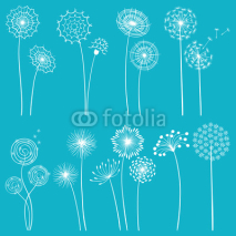 Fototapety Set of dandelions