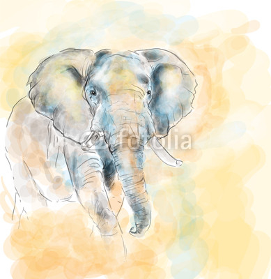 Elephant aquarelle painting imitation