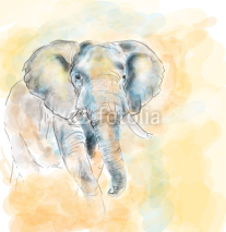 Naklejki Elephant aquarelle painting imitation