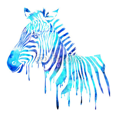 Watercolor zebra head - abstract animal illustration, white
