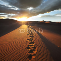 Fototapety Hike in desert