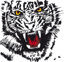 Naklejki Sketch of white tiger. Vector illustration