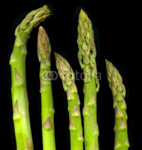 Naklejki grüner Spargel - green asparagus