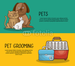 group animals pet shop vector illustration design