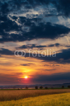 Fototapety Summer sunset over a field