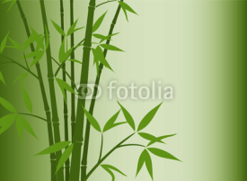 Naklejki Bamboo background, vector