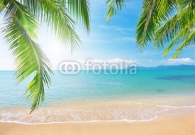 Naklejki Palm and tropical beach