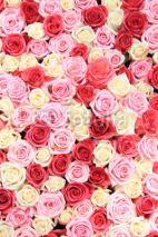 Naklejki White and pink roses in arrangement