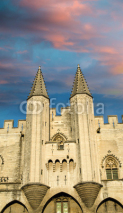 Fototapety Pope palace in Avignon , France. Architectural detail of the tow
