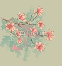 Fototapety magnolia watercolor