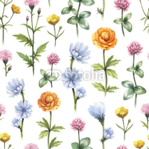Fototapety Wild flowers illustration. Watercolor seamless pattern