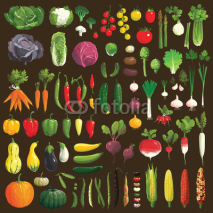 Obrazy i plakaty Vegetables