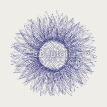 Naklejki Sunflower sketch design