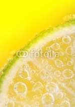 Fototapety The lime