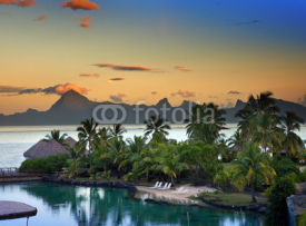 Fototapety Palm trees sand a sunset over the sea and mountain..