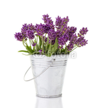 Naklejki lavender in a metal bucket
